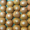 new crop fresh kiwi fruit