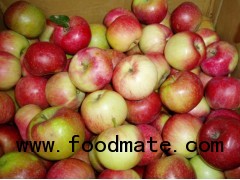 Jiguan apple