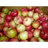 Jiguan apple