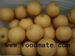 Fengshui pear
