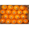 fresh navel orange