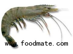 BLACK TIGER PRAWN