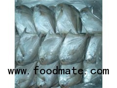 Frozen butterfish