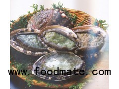 frozen abalone