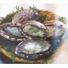 frozen abalone