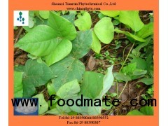 Pueraria extract isoflavones/puerarin