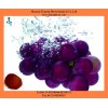 Grape seed extract proanthocyanidins