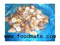 IQF Shiitake Mushroom