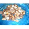 IQF Shiitake Mushroom