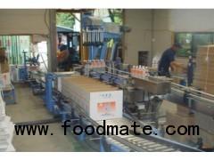 Automatic box filling machine