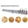 Automatic Biscuit Production Line