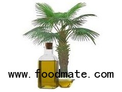 Buy Cooking Oil Palm Olein