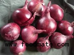 Red onion