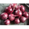 Red onion