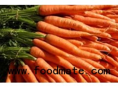 Egyptian Carrot