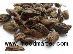 Black cardamom