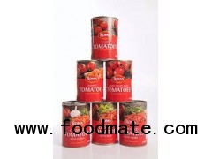 tin tomatoes