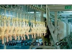 HALAL CHICKEN SLAUGHTER LINE MACHINE