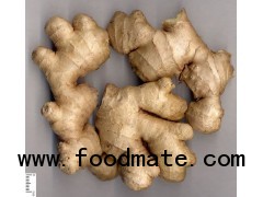 fresh ginger in china