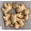 fresh ginger in china