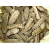 Dried sea cucumber