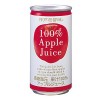 Fruit Juices Can - Apple