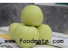 2012 Fresh Golden Delicious Apple
