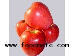 Fresh Red Star Apple of 2012