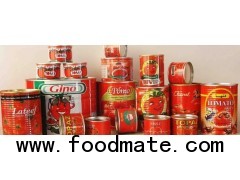 tomato paste sauce