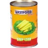 Sell Canned whole BABY CORN