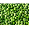 Sell Frozen Green Pea