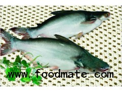 VIETNAM PANGASIUS / BASSA FISH