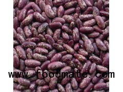 Bean, purple speckled kidney beans long shape