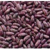 Bean, purple speckled kidney beans long shape
