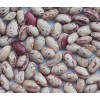 light speckled kidney bean kidney bean