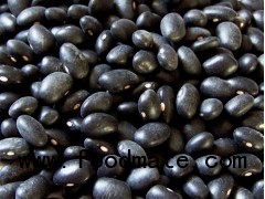 Black Kidney Beans