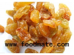 Golden raisins from Xinjiang