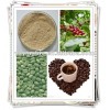 Green Coffee Bean Extract (Chlorogenic Acid)