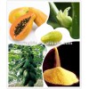 Papaya Seed for sale