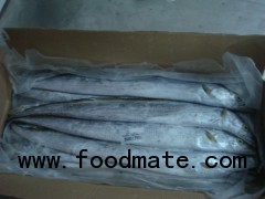 Buy Frozen ribbon fish whole