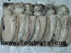 Buy Frozen Cuttle fish whole