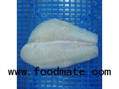 Frozen Pangasius Fillets