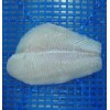 Frozen Pangasius Fillets