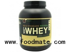 Optimum Nutrition 100% Whey Go