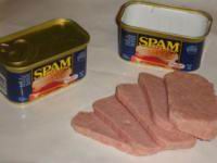 SPAM