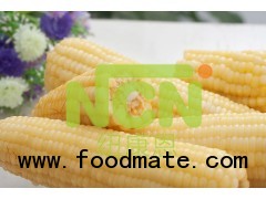 Frozen  White Waxy Corn Cob