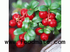 Lingonberry Juice Powder