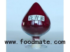 China Bilberry Anthocyanin