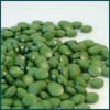 Natural Chlorella