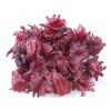 dried hibiscus